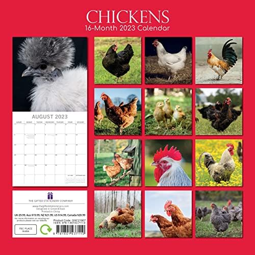 2023 Négyzetes Fali Naptár, Csirke, 16 Hónapos Állatok Téma 180 Emlékeztető Matricák (12 x 12)