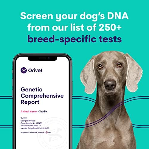 ORIVET Kutya DNS-Teszt Kit - Beagle Fajta Teljes Profil | Kiskutya Tesztelés Ellen 250 Egészségügyi Kockázatok & Vonások