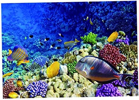 Akvárium Dekoráció, Kiegészítők,Akvárium Dísz,Élőhely-Szobor, 3D Sea World akvárium Háttér Ragasztóanyag a Víz alatti Tartály Háttér Poszter