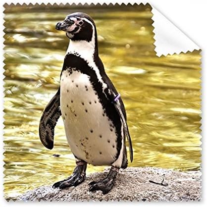 Déli-Óceán Pingvin az Antarktisz Tudomány a Természet Tisztító Kendővel Telefon kijelzőjén Szemüveg Tisztító 5db