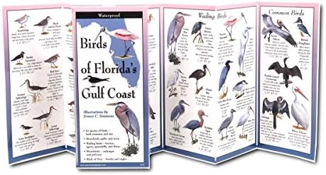 Földön, Égen + Víz FoldingGuide™ - Madarak Florida Gulf Coast - 10 Panel Összecsukható, Vízálló Természet Azonosító Útmutató