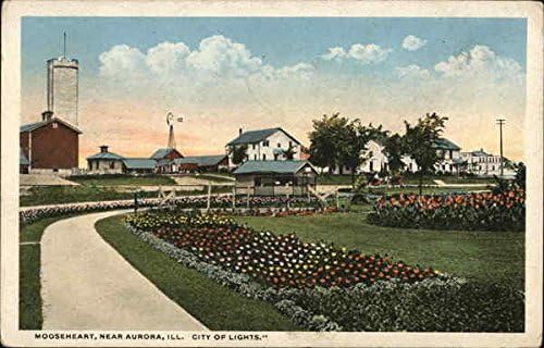 Mooseheart, a Fények Városa Aurora, Illinois IL Eredeti Antik Képeslap, 1919