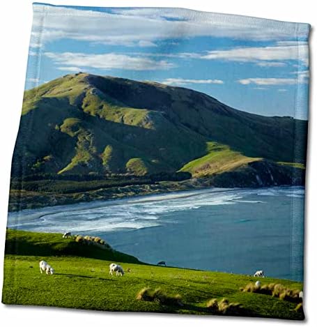3dRose Bárány, termőföld, Allans Beach, valamint a Mt Charles, Otago, Új-Zéland. - Törülközők (twl-187811-3)