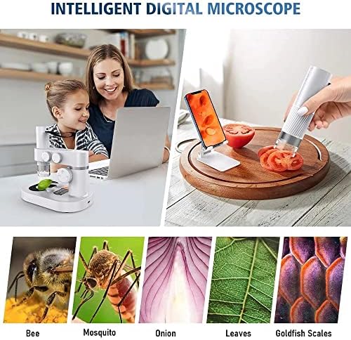 N/400X USB Gyermekek Biológiai Digitális Elektronikus Hordozható Mikroszkóp Készlet Telefon PC Otthon, Iskola, Tudomány, Oktatási
