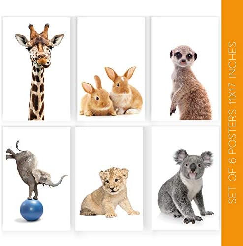 Erdei Állat Kép | Játszószoba Plakátok Gyerekeknek | Baba Fali Képek | Dzsungel Állatok Ajándék | Gyerekszoba Dekoráció | Tantermi Dísz |