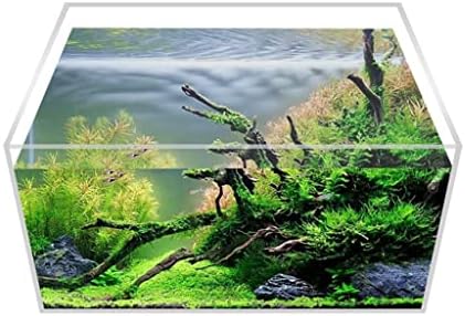 UXZDX Akril Átlátszó akvárium Törhetetlen Asztali Kis Téglalap alakú Vízi Növények Hüllők (Szín : az ábrán Látható, Méret : Egy Méret)