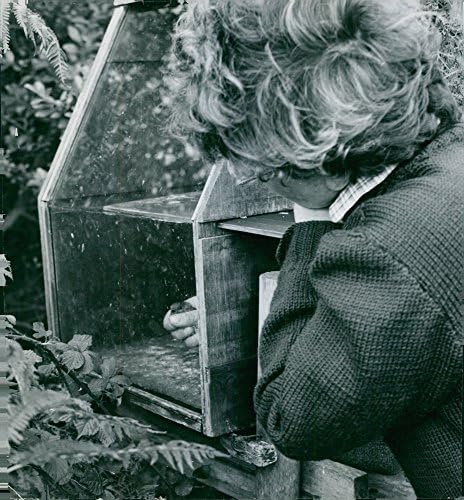 Vintage fotó Nő, hogy egy madár a kalitkában. Október 30 1954.