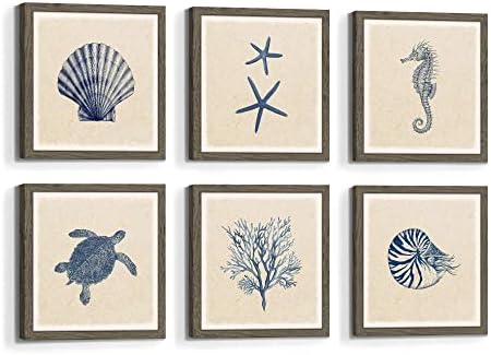 Hálószoba Tengeri Élet Wall Art: Nappali, Modern Keretben Óceán Lény Kép 6 Darab Négyzet Teknős Korall Nyomtatás Dekoráció