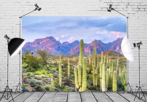 CORFOTO 9x6ft Sivatagi Kaktusz Hátteret Nemzeti Park Hátteret Kaktuszok a Fotózás Desert Botanikus Canyon Kép Arizona Kaktusz Táj