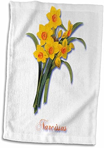 3dRose Nárcisz, Botanikus Nyomtatási egy Sárga Tavaszi Virág, Narancs. - Törülközők (twl-171252-3)