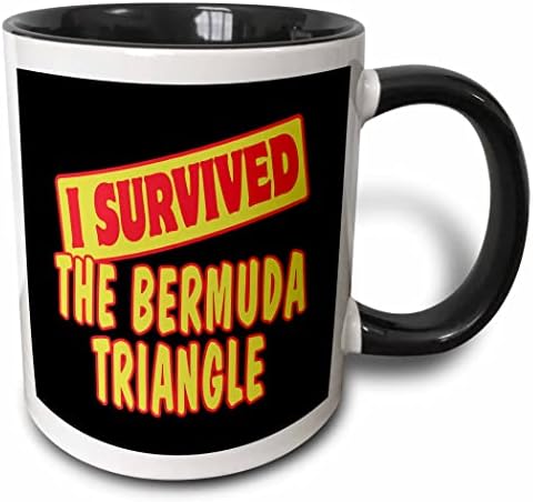 3dRose Túléltem A Bermuda-Háromszög Survial Büszkeséget, Humor Tervezési Két Hang Bögre, 11 oz, Fekete/Fehér