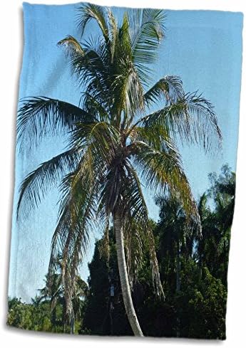 3dRose Florence Trópusi Táj - Palm Elég - Törölköző (twl-11035-1)