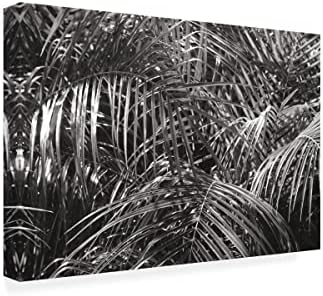 Védjegy képzőművészeti 'Trópusi Készítik BW' Vászon Művészet által Vad Alma Portfólió 16x24