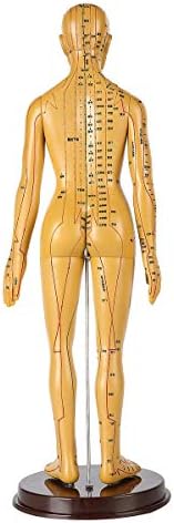 Oktatási Modell, az Emberi Anatómia - 50cm Emberi Meridian Acupoint Modell Réz Gumi Női Akupunktúra Tanulás Meridiánok akupunktúrás pontokat