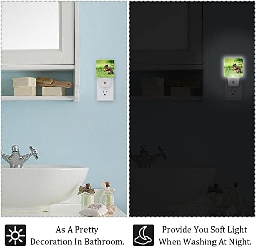 2 Csomag Plug-in LED-es Éjszakai Fény, Lámpa, Mókus P, Auto Alkonyat Hajnal Érzékelő Dekoratív Nightlights a Gyerekek, Hálószoba,