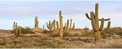 AWERT 24x12 cm Terrárium Háttér a Kék Eget Rock Óriási Kaktusz Góbi-Sivatagban Hüllő Élőhely Háttér Vinil