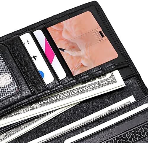Flamingók Hitelkártya USB Flash Meghajtók Személyre szabott Memory Stick Kulcs, Céges Ajándék, Promóciós Ajándékot 32G